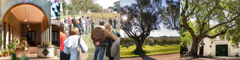 Uruguay te invita a vivir un invierno diferente!!!!