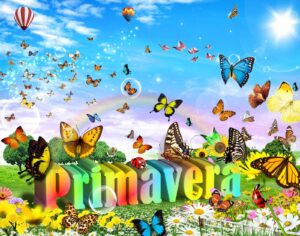 Ya se palpitan las fiestas Primavera en todo Uruguay.Anticipadas on line